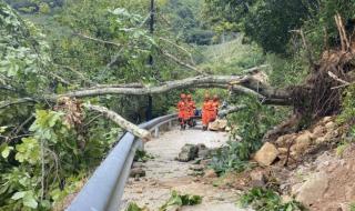 泸定地震致74人遇难 泸定地震致74人遇难