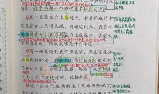 一只窝囊的老虎批注