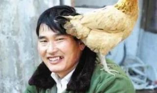 朱之文我要回家简谱 朱之文我要回家简谱